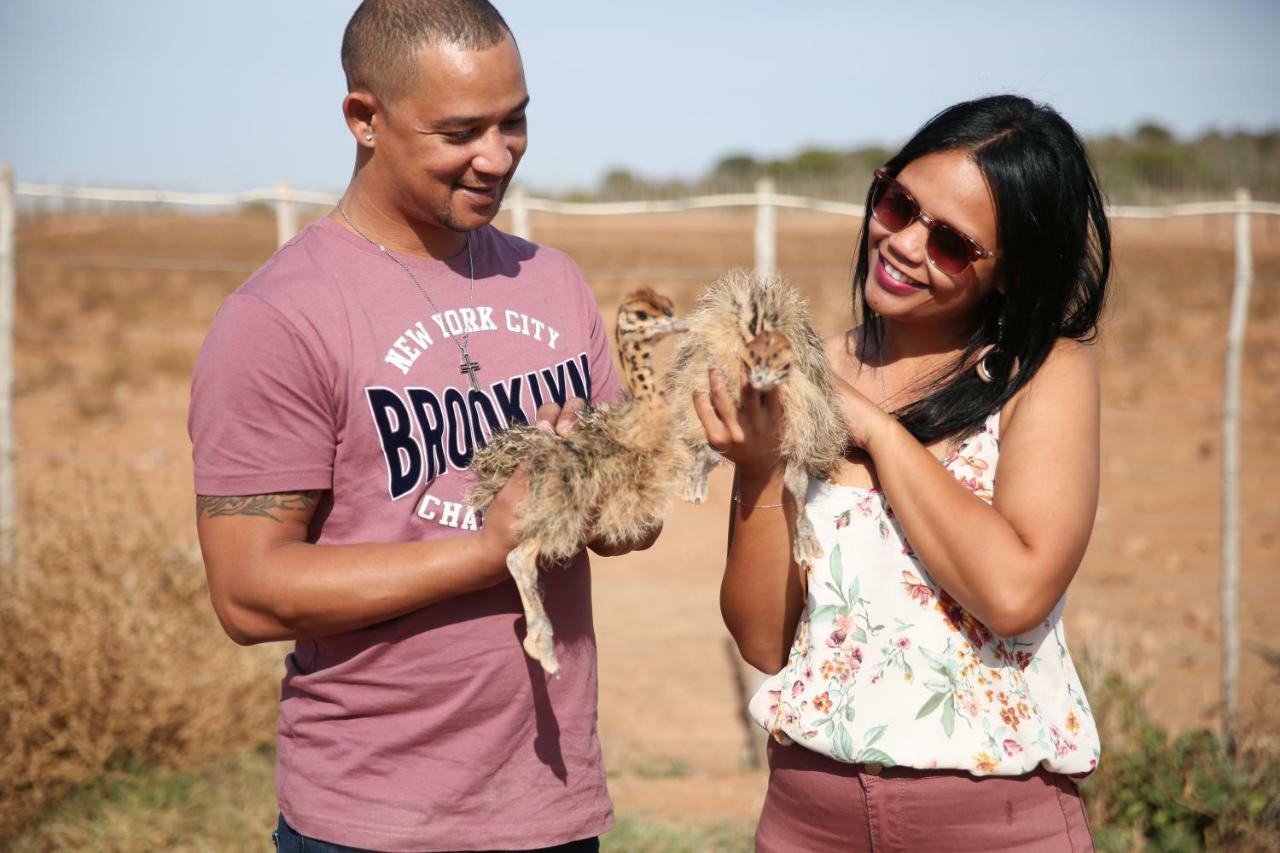 De Opstal Country Lodge Oudtshoorn Eksteriør billede